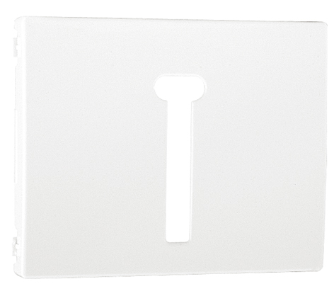 Cover Plate for T8 French Telephone Socket